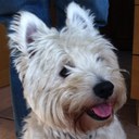 Jayne Rowe - @JayneRowe0909 - Twitter