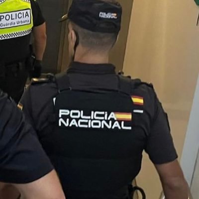 Lolo_Momia's profile picture. 