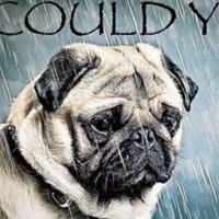 son_of_a_bitch🔞 (@son_ofab) 's Twitter Profile Photo