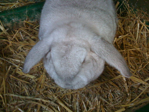 MatthewHardiman's profile picture. Originally from Guildford, now living in the North West. Rant and reason in equal measure.