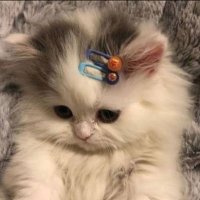 r (@sakinimbiseyyok) Twitter profile photo