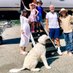 Peter Schiff's Dog Bonnie (@peterschiffdog) Twitter profile photo Peter Schiff's Dog Bonnie (@peterschiffdog) Twitter profile photo