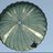 Jeskmg19's profile image