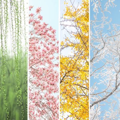 yy7035112341671's profile picture. 