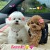 Fx_Newbie💫🌺 (@love_x_intimacy) Twitter profile photo Fx_Newbie💫🌺 (@love_x_intimacy) Twitter profile photo