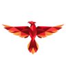 phoenix2234's profile picture. 