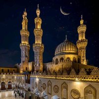 بسام أحمد آل محمود (@dr_adrinaline) 's Twitter Profile