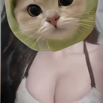 deng_k60901's profile picture. 