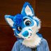 North (@northernbluefox) Twitter profile photo North (@northernbluefox) Twitter profile photo