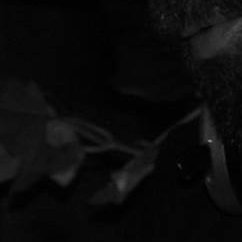 JjFunkdoblegota's profile picture. 