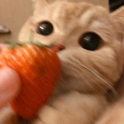 sakamalulu's profile picture. 