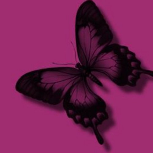 LotsOfLoveAtLol's profile picture. For all your Hair & Beauty needs there's Lots Of Love @ LOL