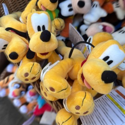 💛❤️💚🧡💙好き→ゴスペラーズ(ポンマーニ地方のムラカミン族でハニーやってます)くろぽん大好き🥰🎤松本圭司さん大好き🥰🎹ディズニー(デール🐿、ホセ🦜)、グリッサンド美味しいw🥙😋