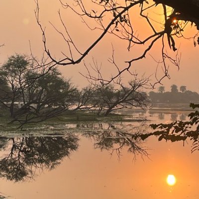 PhD JNU|Geographer|Political economy|Urban Planning|RTs not endorsement