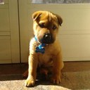 michael milone - @michaelgep97 - Twitter