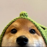 Timmy turner (@dontshelll) 's Twitter Profile Photo Timmy turner (@dontshelll) 's Twitter Profile Photo