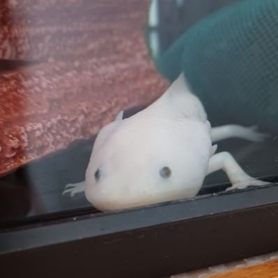 yKvqO4Jh8x48617's profile picture. 