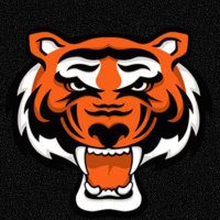 Rawlings Tigers Spokane (@509srt) 's Twitter Profile Photo Rawlings Tigers Spokane (@509srt) 's Twitter Profile Photo