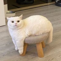 alilin (@milse_rondon) Twitter profile photo