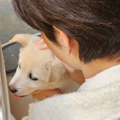 cassiecstshp's profile picture. dm me if you're a supplier 🥹