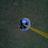 WestForsythGolf's profile image