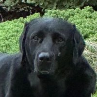 future (@future19894) 's Twitter Profile
