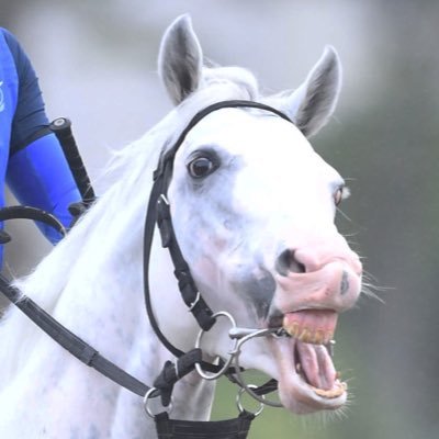 BiQq3qBhWSaMpwQ's profile picture. 