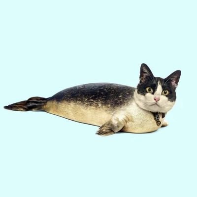 CatfishCTO1's profile picture. OFFICAL PAGE OF $CATFISH // TELE: https://t.co/anW9q4Vpqj