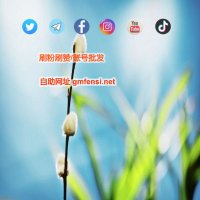 油管刷订阅 油管刷粉丝 油管买粉丝 油管涨粉丝 谷歌账号点赞视频播放量YouTube (@macduff1234567) 's Twitter Profile