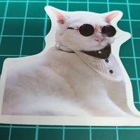 裏 (@olddusu__) 's Twitter Profile