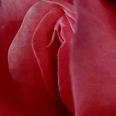 tnucclit's profile picture. 