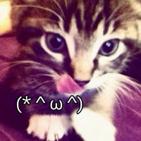 nolan ^_^ COMISIONES ABIERTAS ! (@iiovstars) 's Twitter Profile