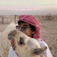 محمد العجمي (@jmy76096) Twitter profile photo