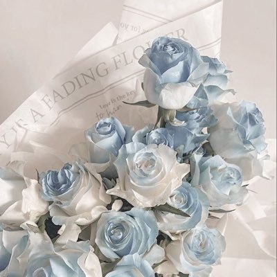 y3301441943088's profile picture. 取引垢/25⬆️