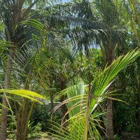 بثينه العريفي (@buthhh) Twitter profile photo