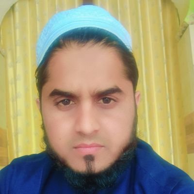 bdll1063191's profile picture. 