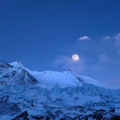 leon42283317661's profile picture. top class labour