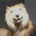 Lawn_Rar (@lawnrar_on_sol) Twitter profile photo Lawn_Rar (@lawnrar_on_sol) Twitter profile photo