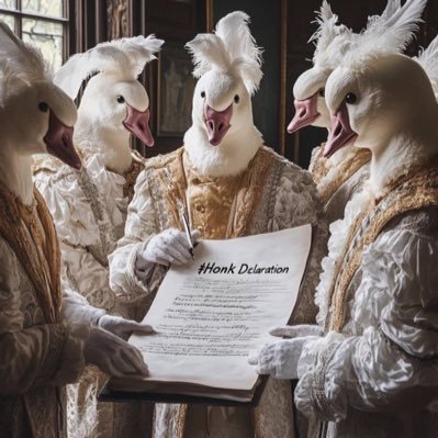 Honk_crypto_rob's profile picture. 