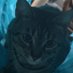 nether (@nethrsonic) Twitter profile photo nether (@nethrsonic) Twitter profile photo
