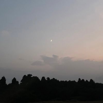 stkin_nntm's profile picture. 成人済 軍師で🥷🥚にハマる 六年生箱推し 文字書き