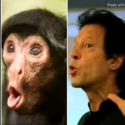 TakHiiQ's profile picture. 