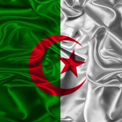 Cybersecurity Consultant
An Algerian Women passionate about cybersecurity 📚👩🏻💻