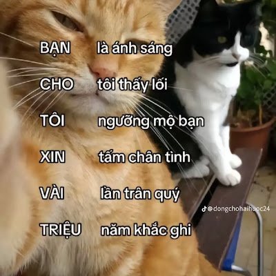 Shuan9590796214's profile picture. 