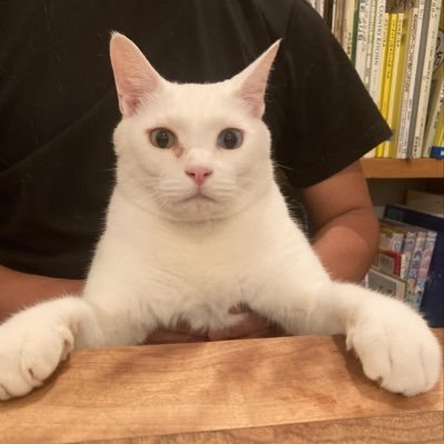 okuso358's profile picture. 当たり前の事を探してます。okusomanから変更しました。 低く長く飛ぶ。自分と話してます。