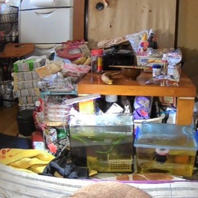 kitanasugiru_ie's profile picture. 人の悪口まみれの嘘つき野郎😨です、酒飲んで自慢放送ばかりしてます か、金が無いんやって‼️ううん‼️ううん‼️プッハー‼俺は自分を守る為に嘘をついたんやって😭 検証が終わりましたので鍵垢にしました😊