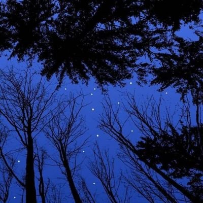 AbrahmanSh65286's profile picture. عدل او انصاف، دکف...رمغلوبه کیدل