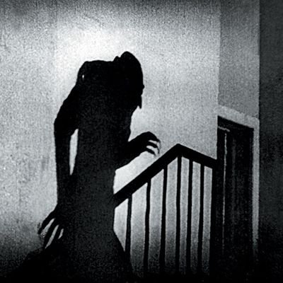 PiotrDub53320's profile picture. Dans la solitude, l'individu se ronge le cœur. Au sein de la foule, ce sont les autres qui le lui rongent ! Choisis donc !  

Nietzsche.

 Anarchiste de droite