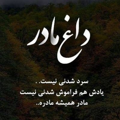 سونیار رامش خلیلی هستم ازولایت زیبای کاپیسا دریک خانواده روشنفکر دیده به جهان گشودم ودوره تحصیلی خودرا تادرجه فوق لیسانس درولایت کابل ادامه دادم ......