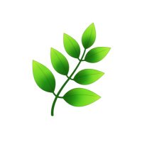 herbe🌿(新) (@shin_h_e_r_b_e) 's Twitter Profile Photo herbe🌿(新) (@shin_h_e_r_b_e) 's Twitter Profile Photo